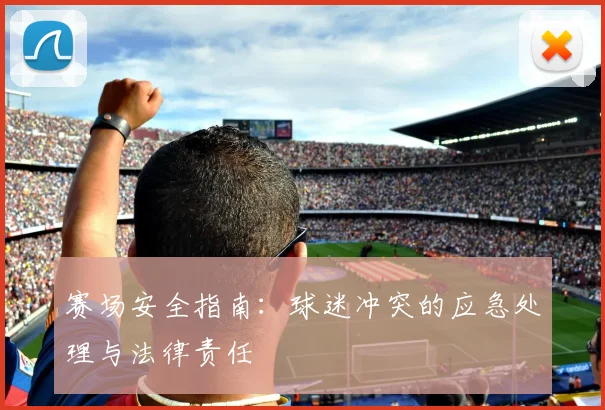赛场安全指南：球迷冲突的应急处理与法律责任