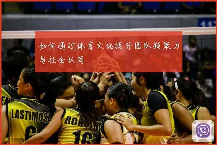 如何通过体育文化提升团队凝聚力与社会认同